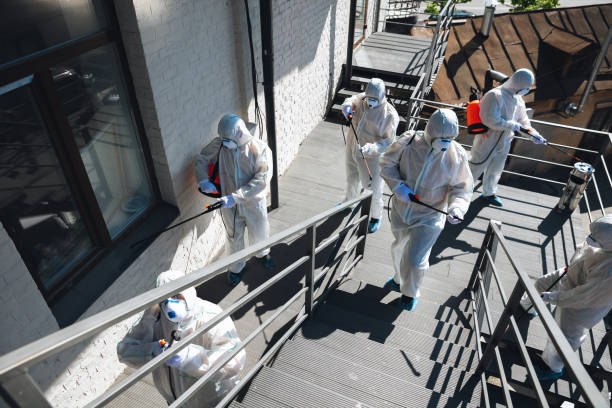 Best Residential Mold Inspection & Testing  in North Branch, MI