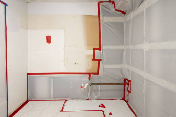 Best Emergency Mold Remediation  in North Branch, MI