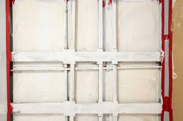 Best Mold Removal for HVAC Installations  in North Branch, MI