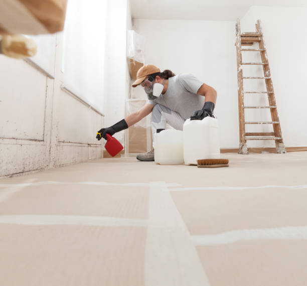 Best Mold Damage Restoration  in North Branch, MI